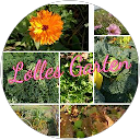 Lolle profile picture