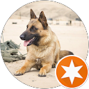 Karl-Heinz Kloepper profile picture