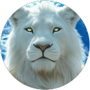 Marten Jansen profile picture